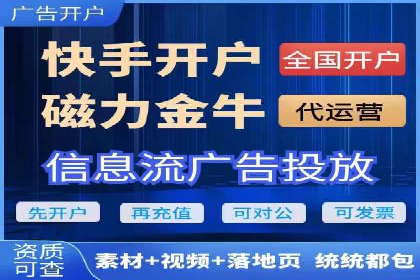 网络推广竞价策略解析与应用案例
