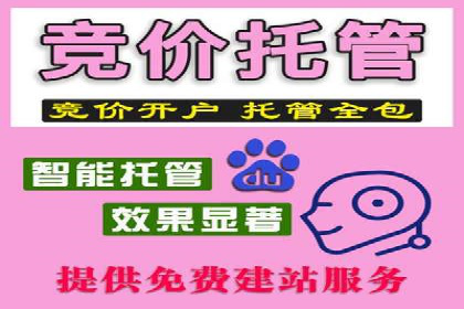 SEM代运营服务公司案例分析：提升广告效果